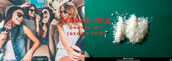 шишки Дмитриев