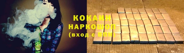 шишки Дмитриев