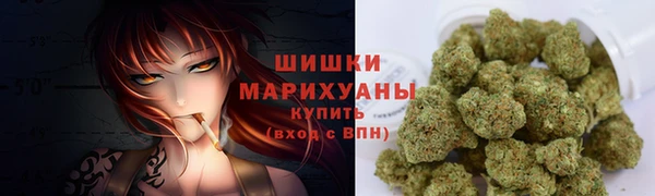 шишки Дмитриев