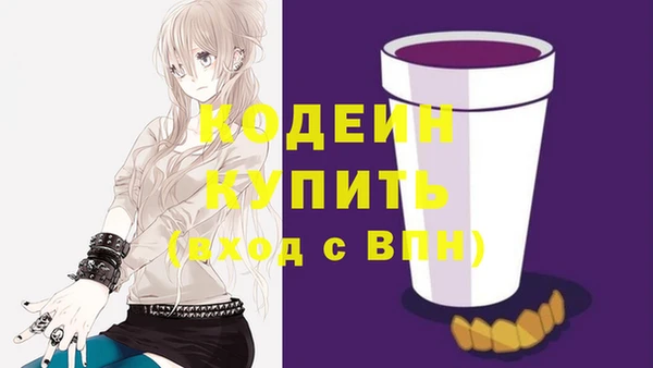 шишки Дмитриев