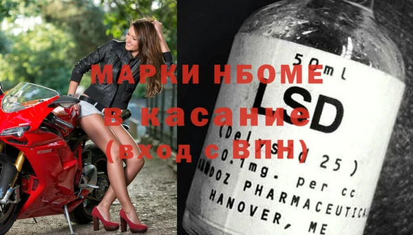 шишки Дмитриев