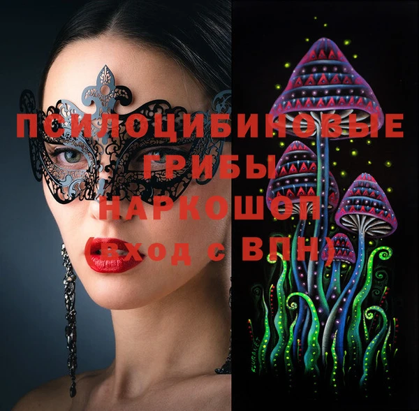 тгк Дмитров