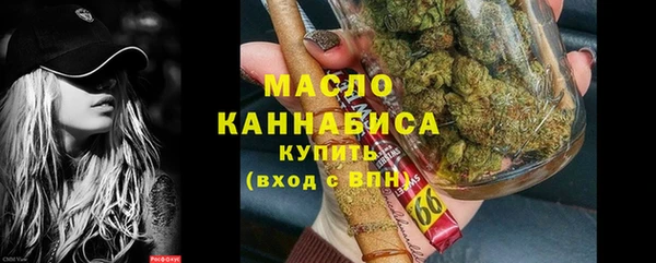 тгк Дмитров