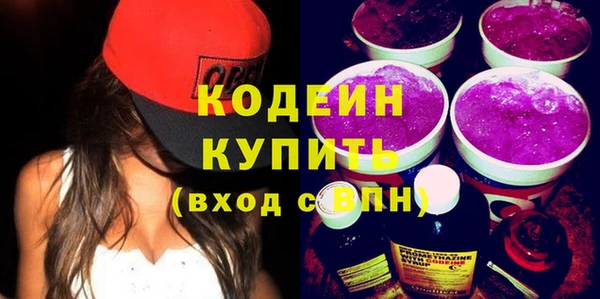 шишки Дмитриев