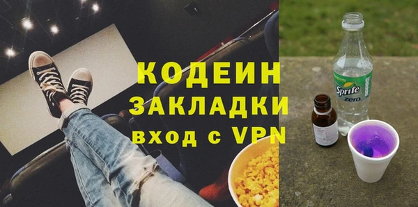 шишки Дмитриев