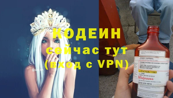 шишки Дмитриев