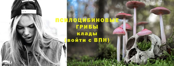 шишки Дмитриев