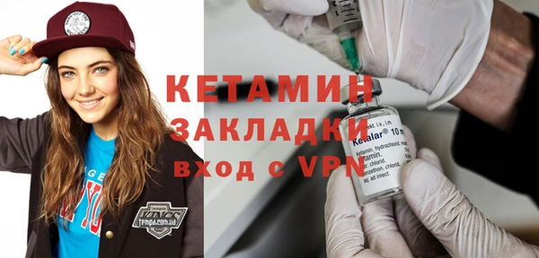 шишки Дмитриев