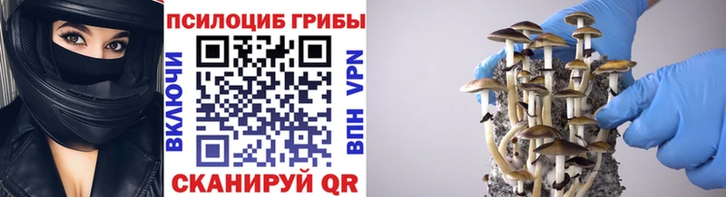 Псилоцибиновые грибы MAGIC MUSHROOMS  blacksprut как войти  Северо-Курильск 